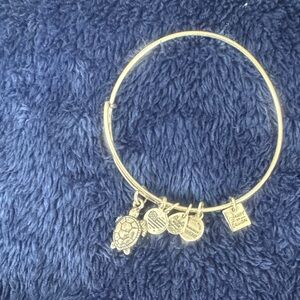Alex & Ani Silver turtle charm Bangle Bracelet